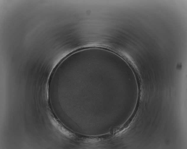 X0000089960892200707061138