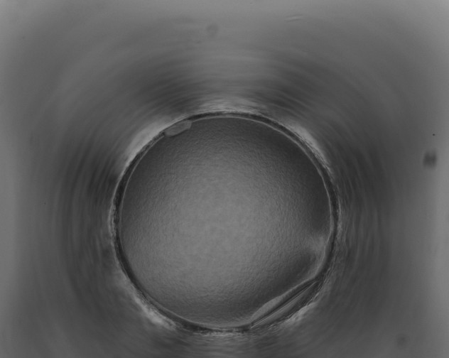 X0000089960893200707061138