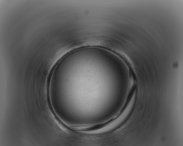 X0000089960894200707061138