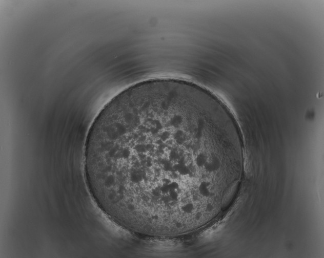 X0000089960895200707061138