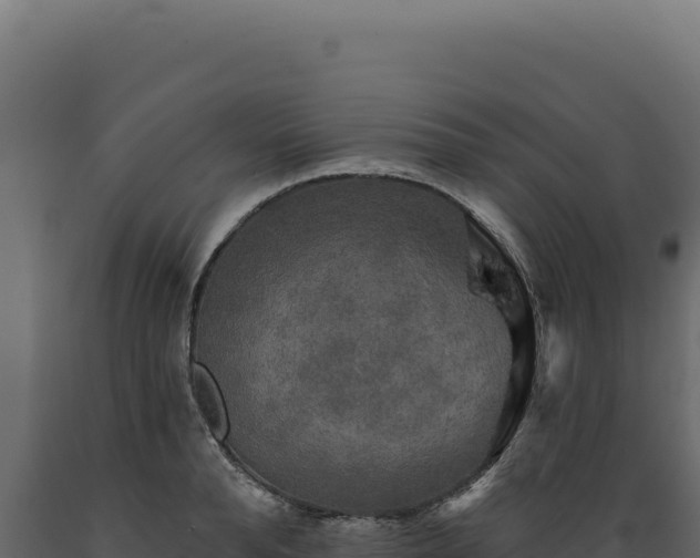 X0000089960896200707061138