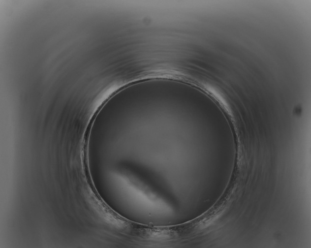 X0000089960899200707061138