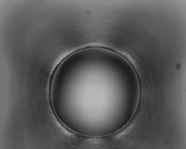 X0000089960902200707061138