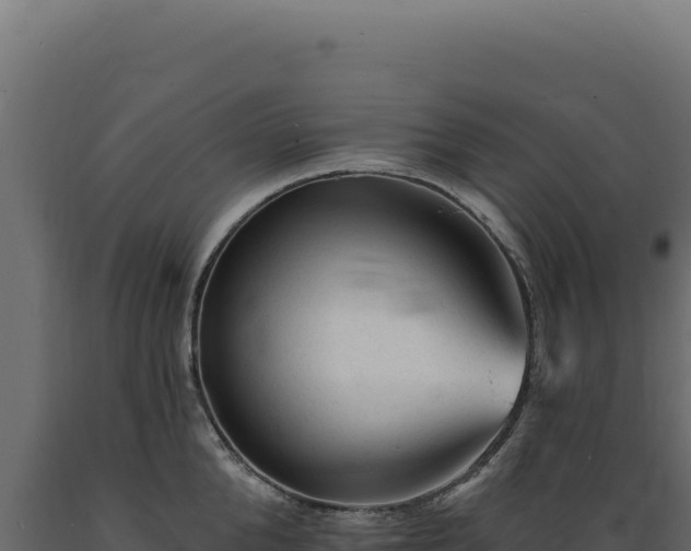 X0000089960904200707061138