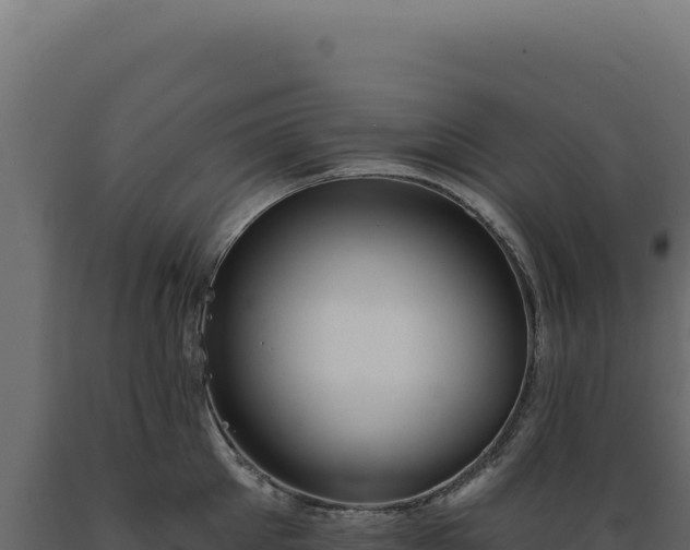 X0000089960905200707061138