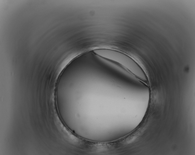 X0000089960906200707061138