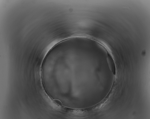 X0000089960907200707061138