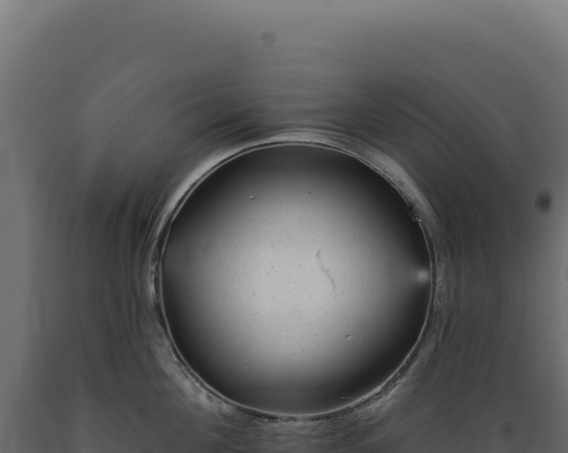 X0000089960908200707061137