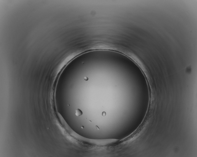X0000089960909200707061137