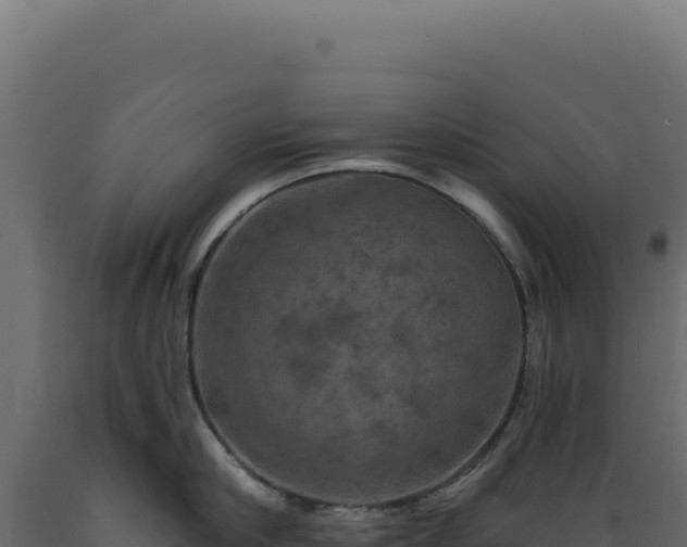 X0000089960910200707061137