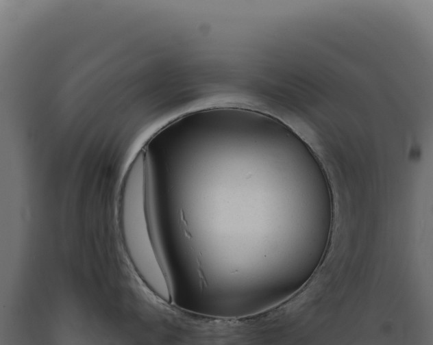 X0000089960912200707061137