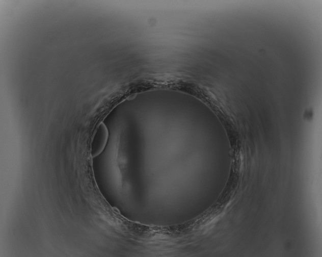 X0000089960913200707061137