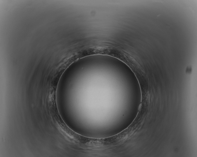 X0000089960914200707061137
