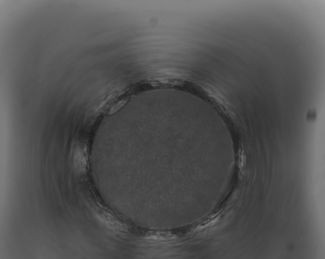 X0000089960915200707061137