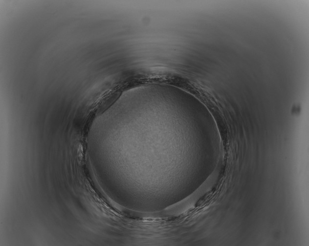 X0000089960916200707061137