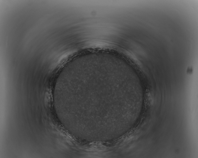 X0000089960918200707061137
