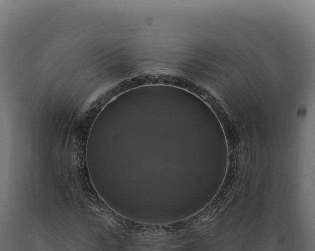 X0000089960919200707061137