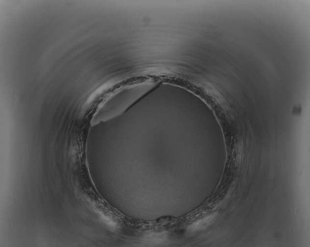 X0000089960920200707061137