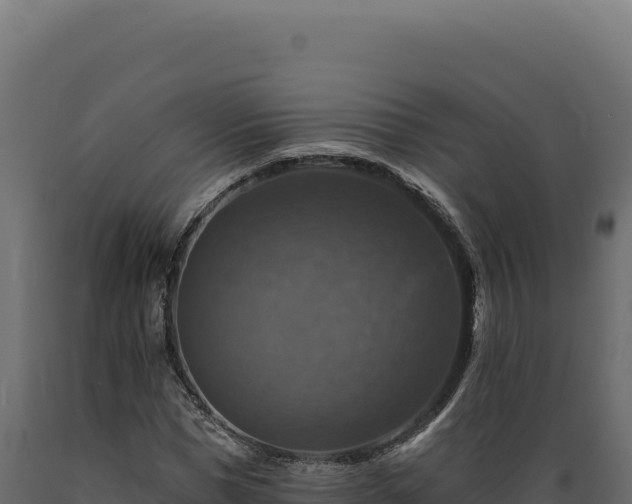 X0000089960921200707061137