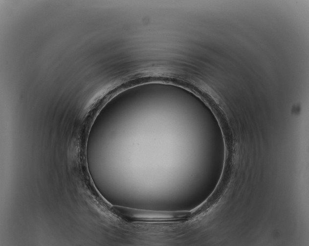 X0000089960922200707061137
