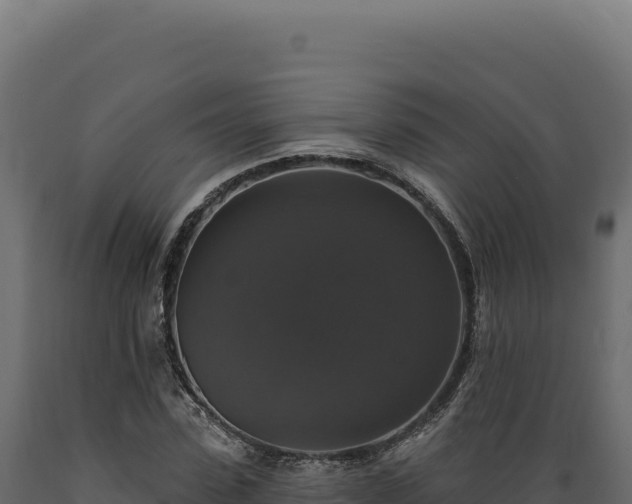 X0000089960923200707061137