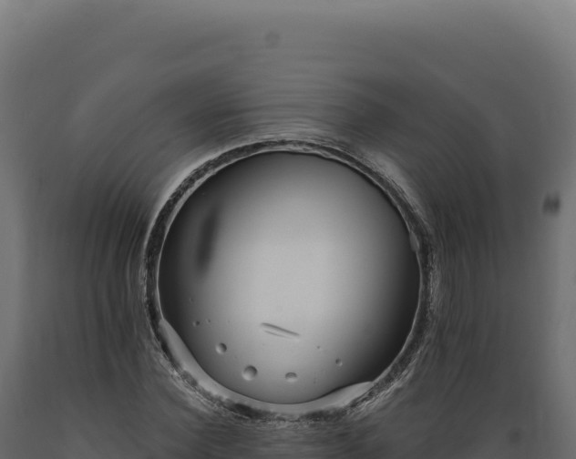 X0000089960924200707061137