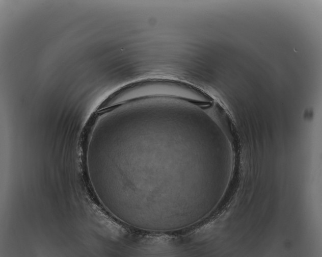 X0000089960926200707061137