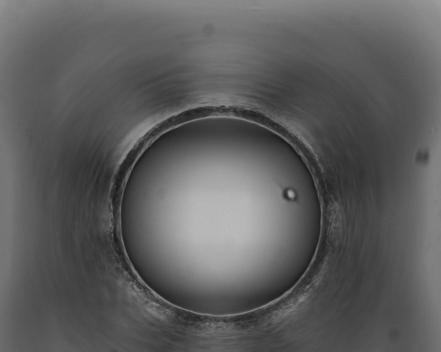X0000089960927200707061137