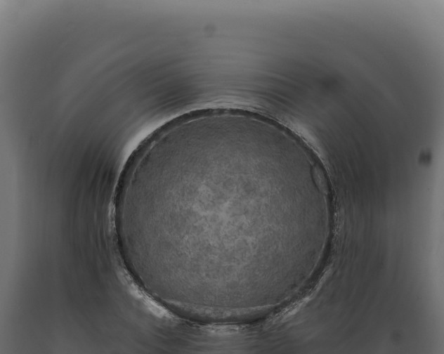 X0000089960928200707061137