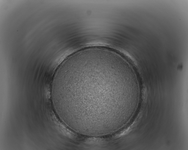 X0000089960929200707061137