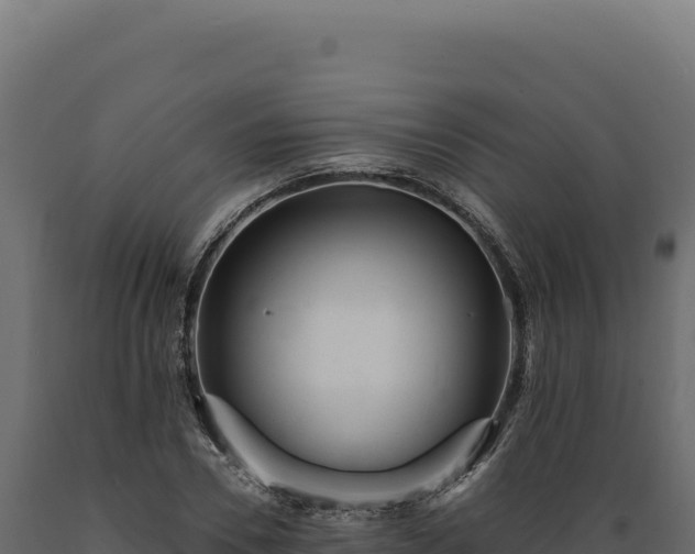 X0000089960930200707061137