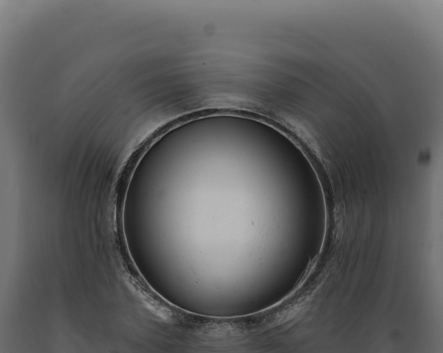 X0000089960931200707061137