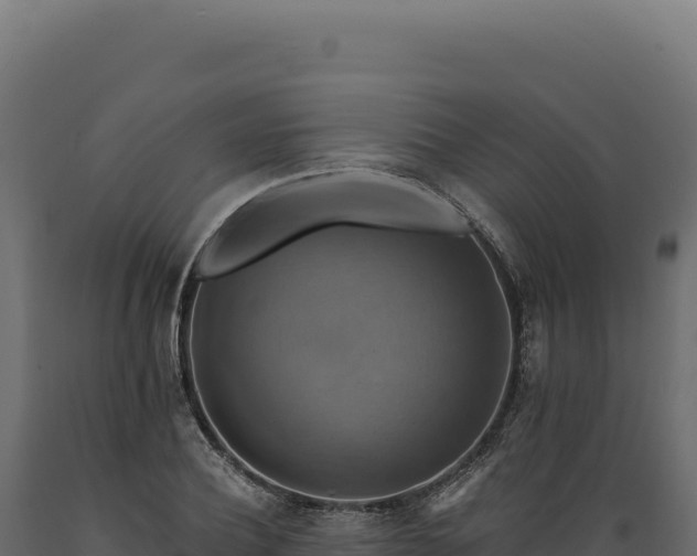 X0000089960932200707061137
