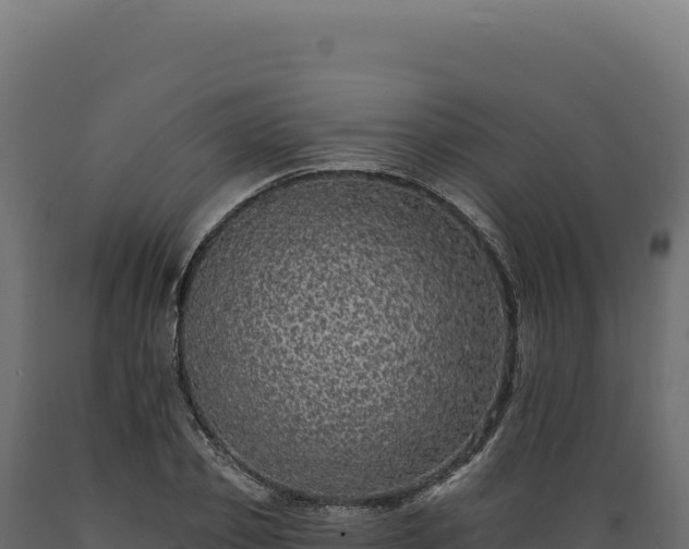 X0000089960933200707061137