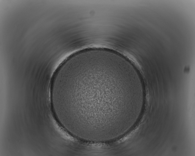 X0000089960934200707061137