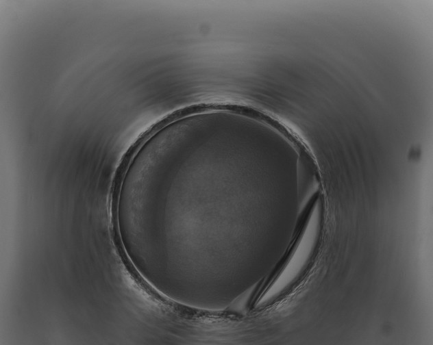 X0000089960935200707061137