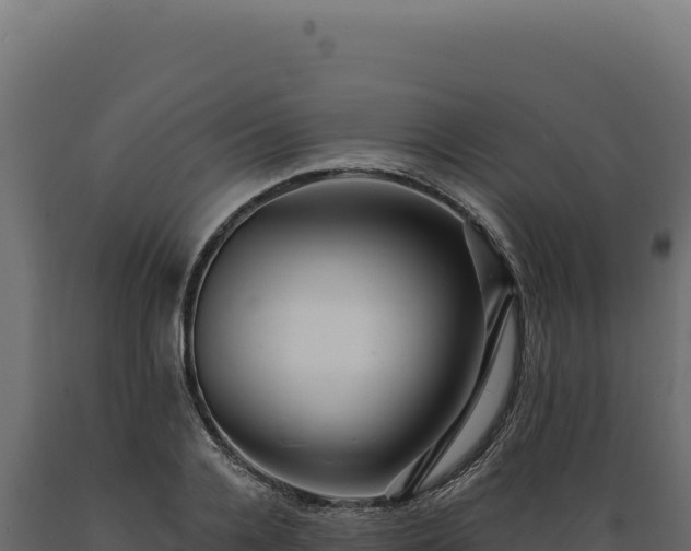 X0000089960936200707061137