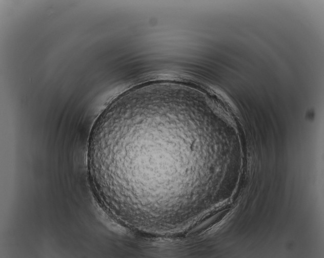 X0000089960938200707061137