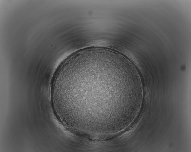X0000089960939200707061137