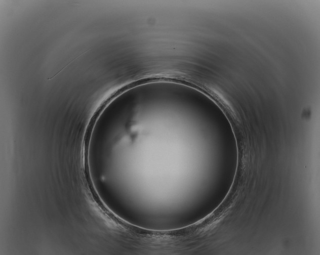 X0000089960940200707061137