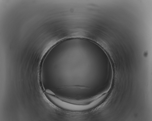 X0000089960941200707061137