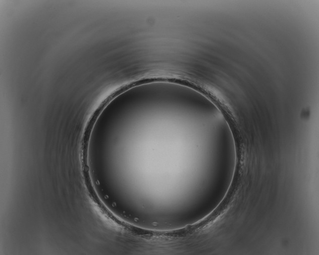 X0000089960942200707061137