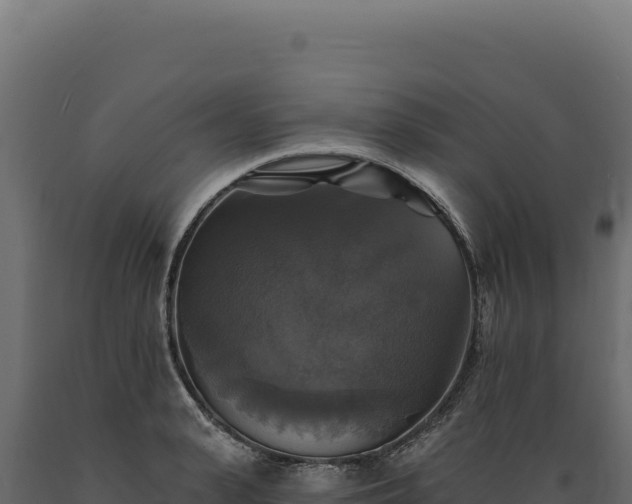 X0000089960943200707061137