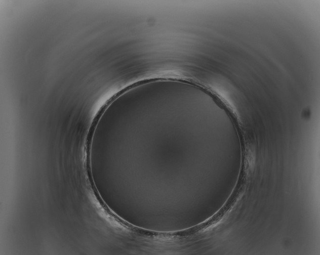 X0000089960944200707061137