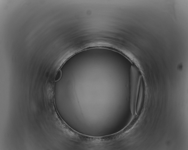 X0000089960945200707061137