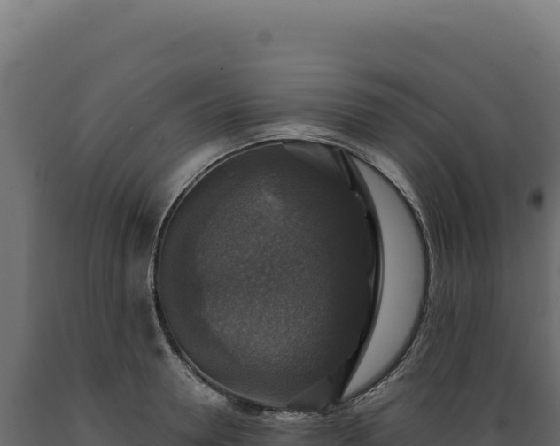 X0000089960946200707061137