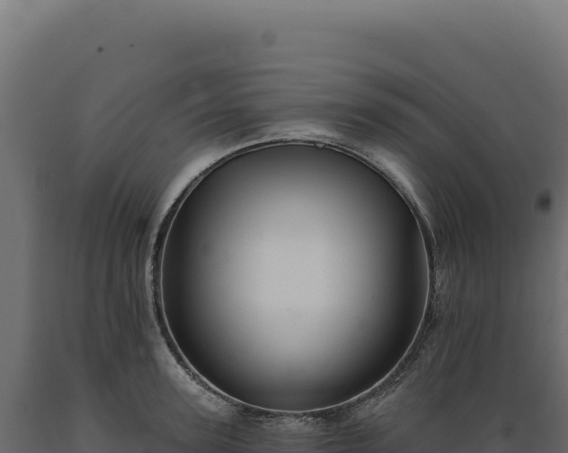 X0000089960947200707061137