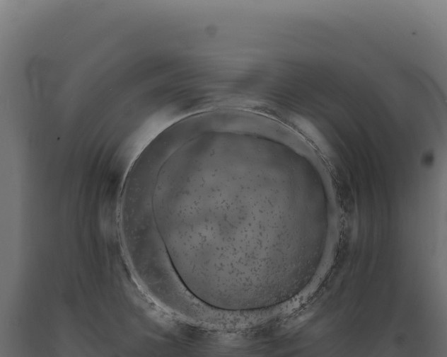 X0000089960948200707061137