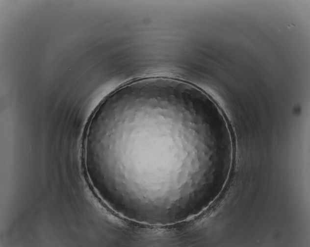 X0000089960949200707061137