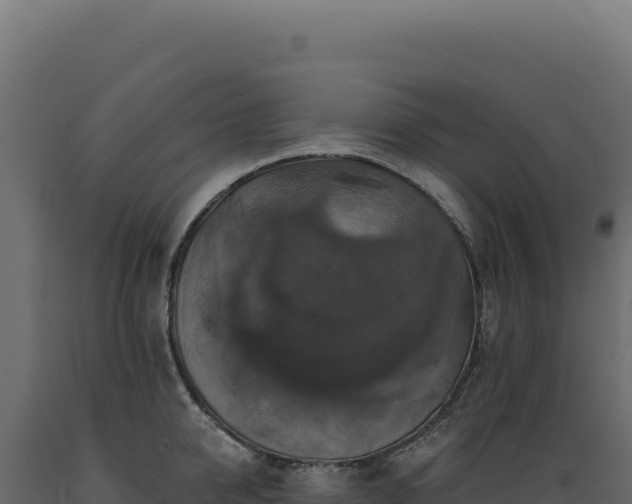 X0000089960950200707061137